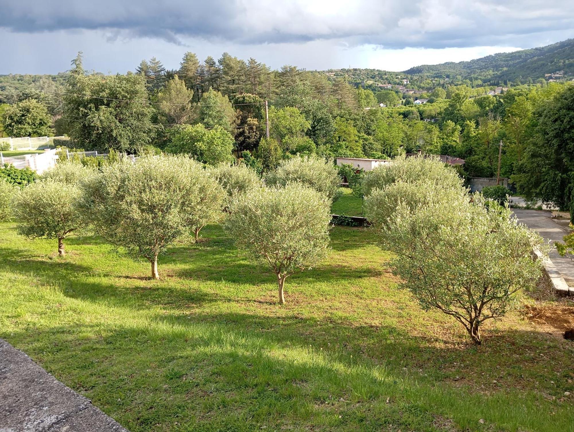 Le Moulin Villa Vallon-Pont-dʼArc Exteriör bild