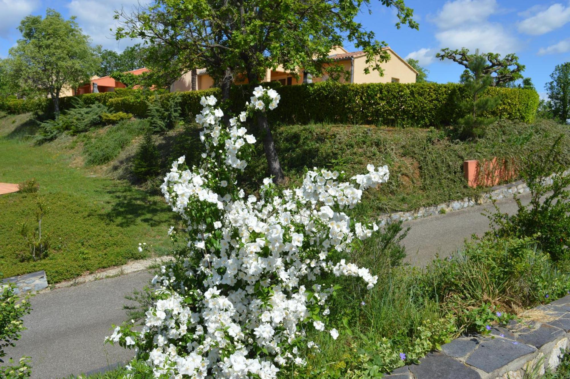Le Moulin Villa Vallon-Pont-dʼArc Exteriör bild